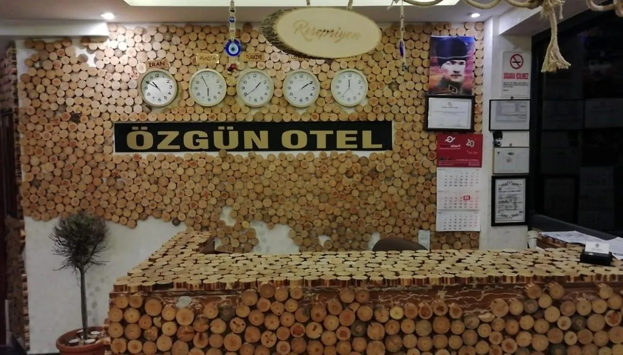 Oezguen Hotel Ankara Turkey